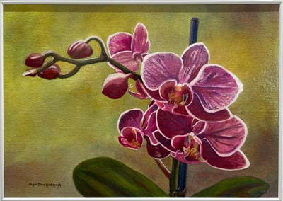 Luminescent Pink Orchid